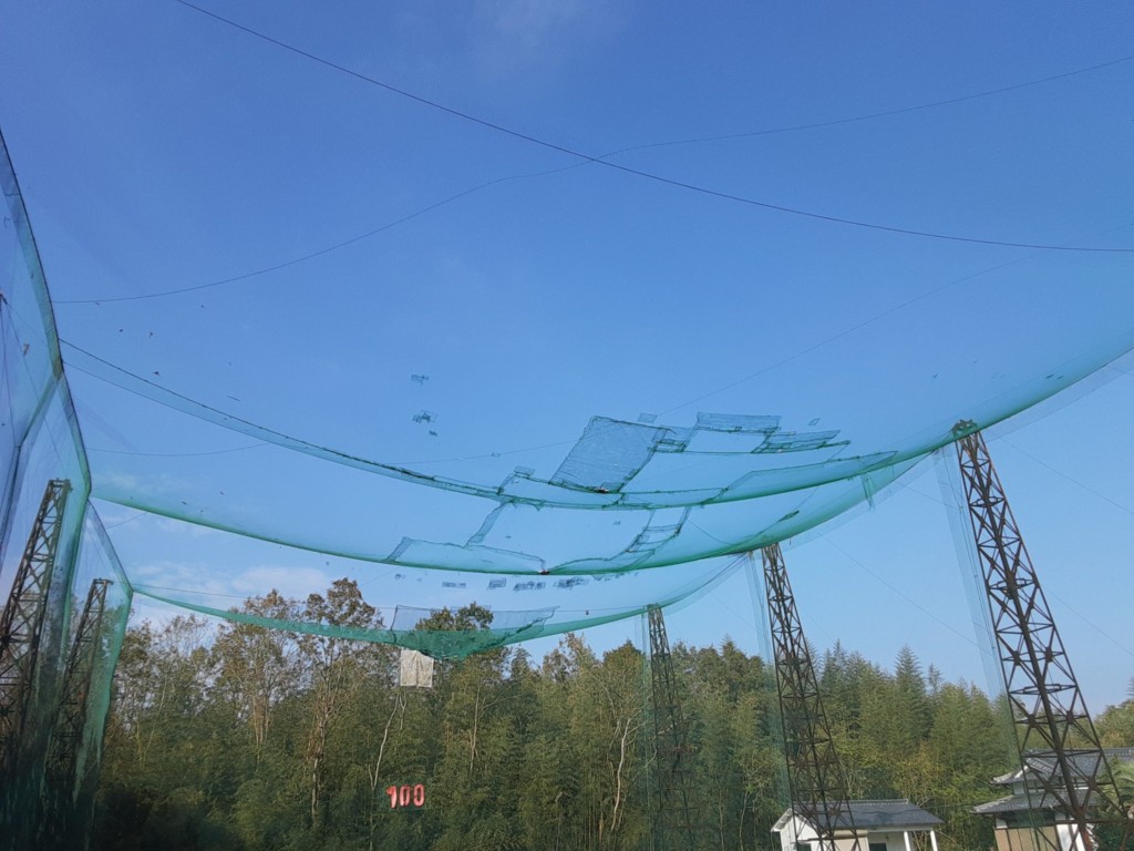 天井ネット一部張替工事