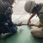 倉庫内防虫ネット設置工事