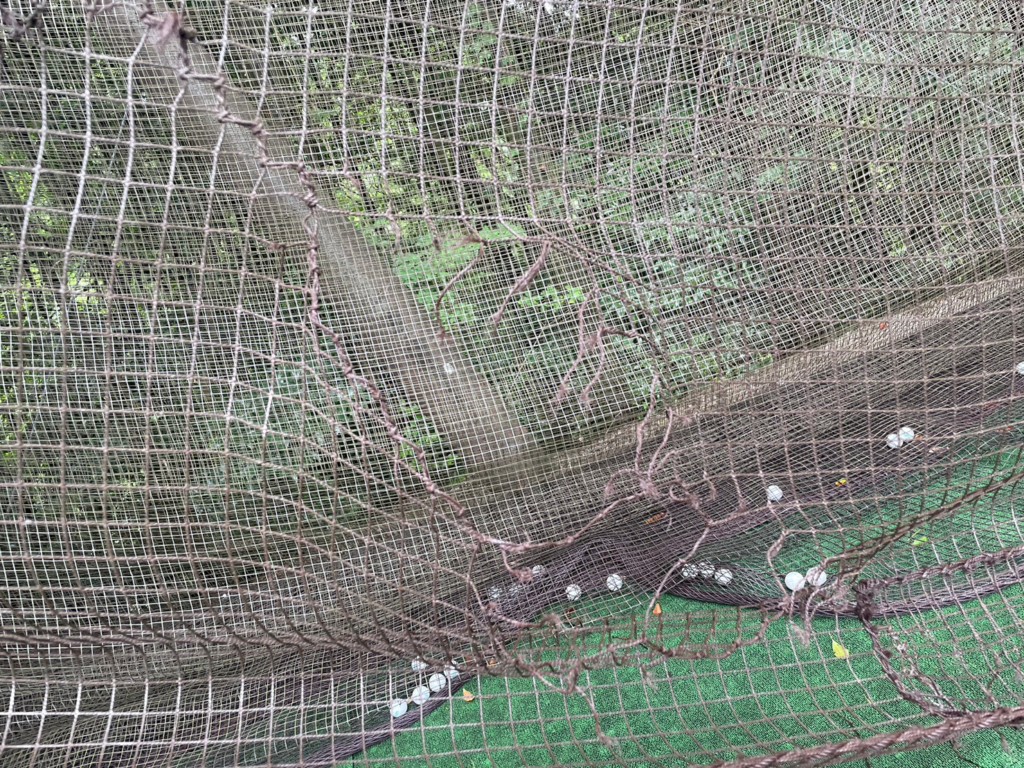 防球ネットメンテナンス