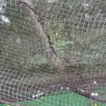防球ネットメンテナンス