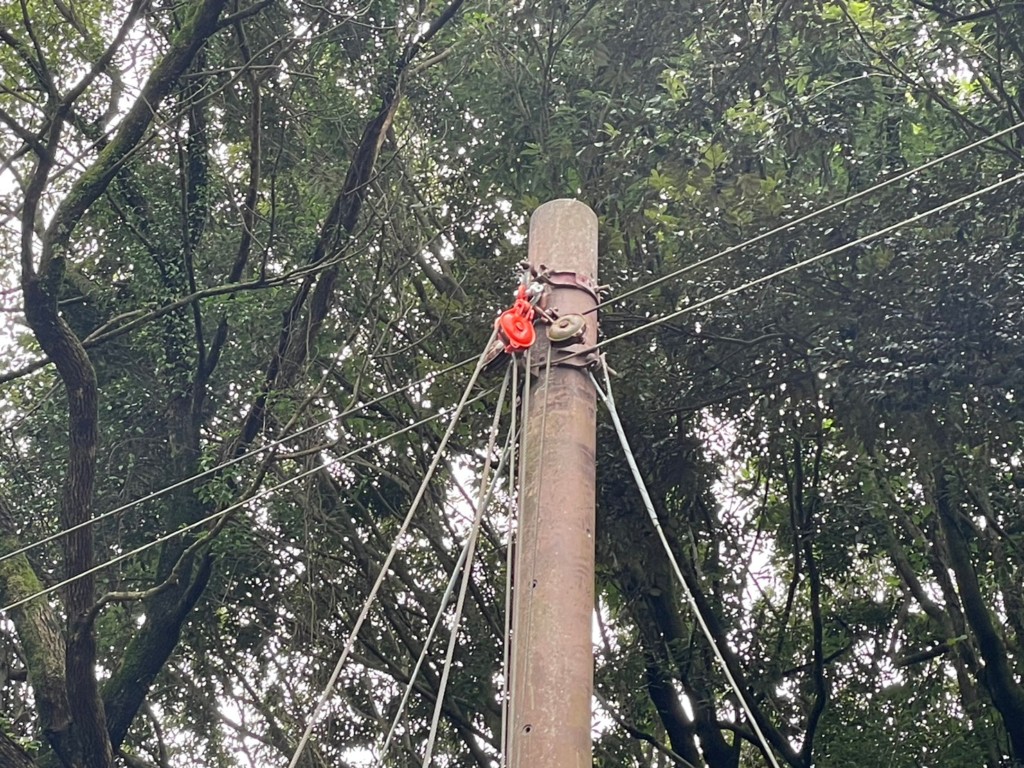防球ネットメンテナンス