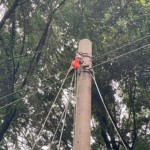 防球ネットメンテナンス