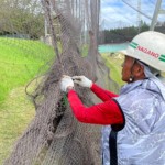 ワイヤー交換・補修工事