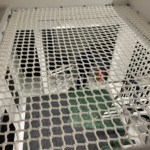 アスレチックネット設置工事