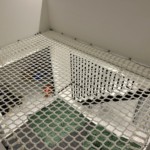 アスレチックネット設置工事