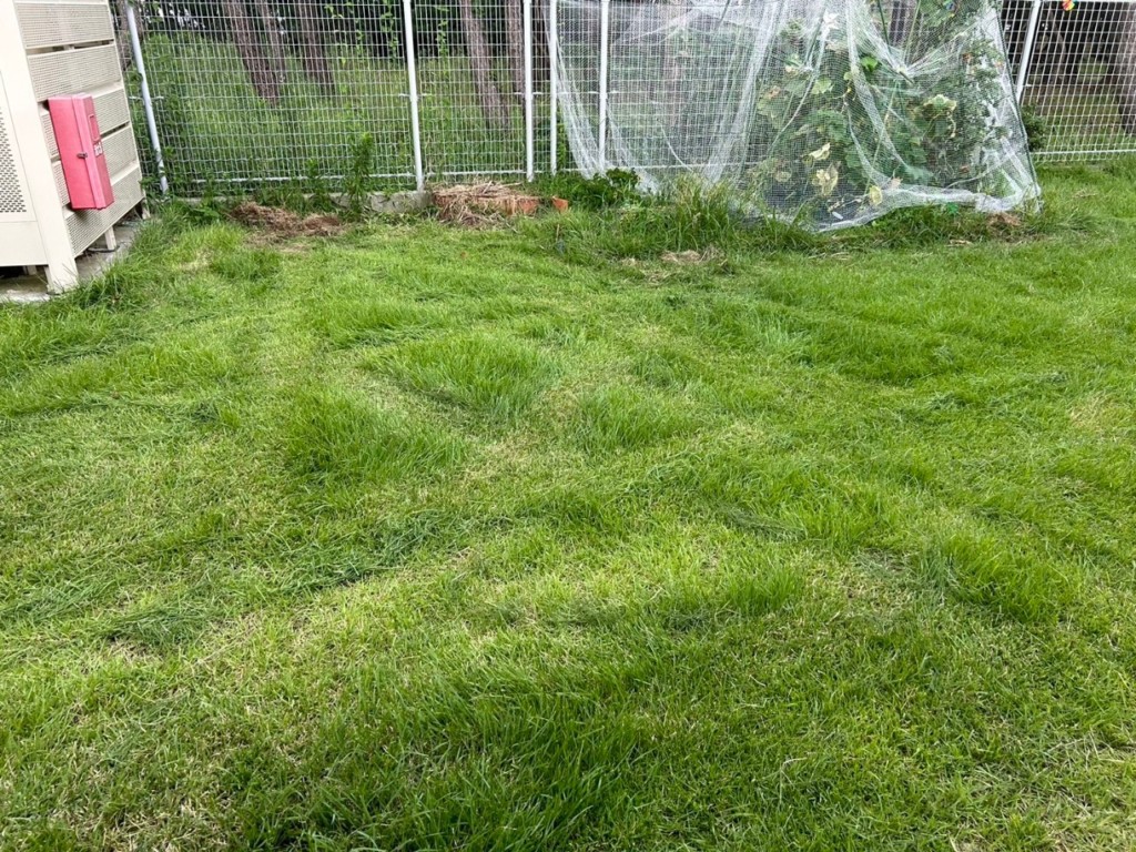 ロボット草刈り機の納品