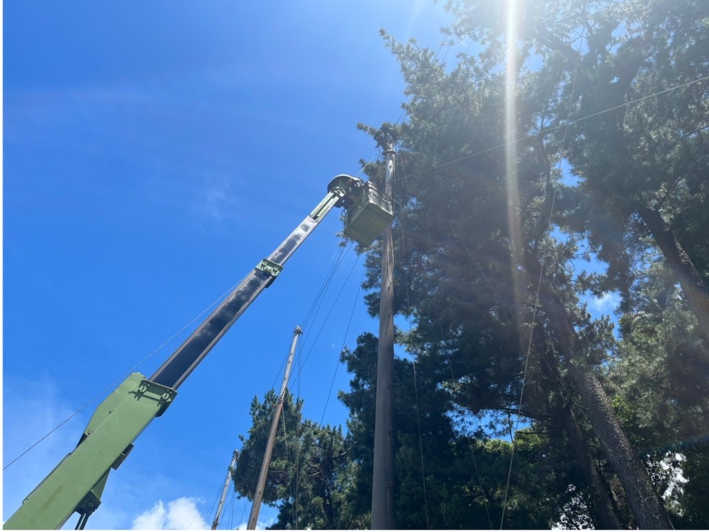 ワイヤー交換及びネット補修工事