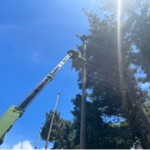 ワイヤー交換及びネット補修工事