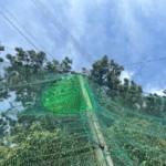 ワイヤー交換及びネット補修工事