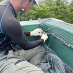 外壁剥落防止ネット設置工事