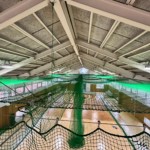 ソフトボール用室内練習場ネット設置工事