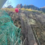 ネット張替工事