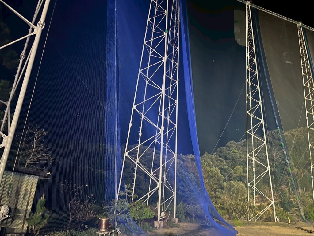 天井ネット補修他工事