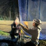 天井ネット補修他工事