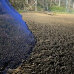 天井ネット補修他工事