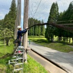 防球ネット張替工事