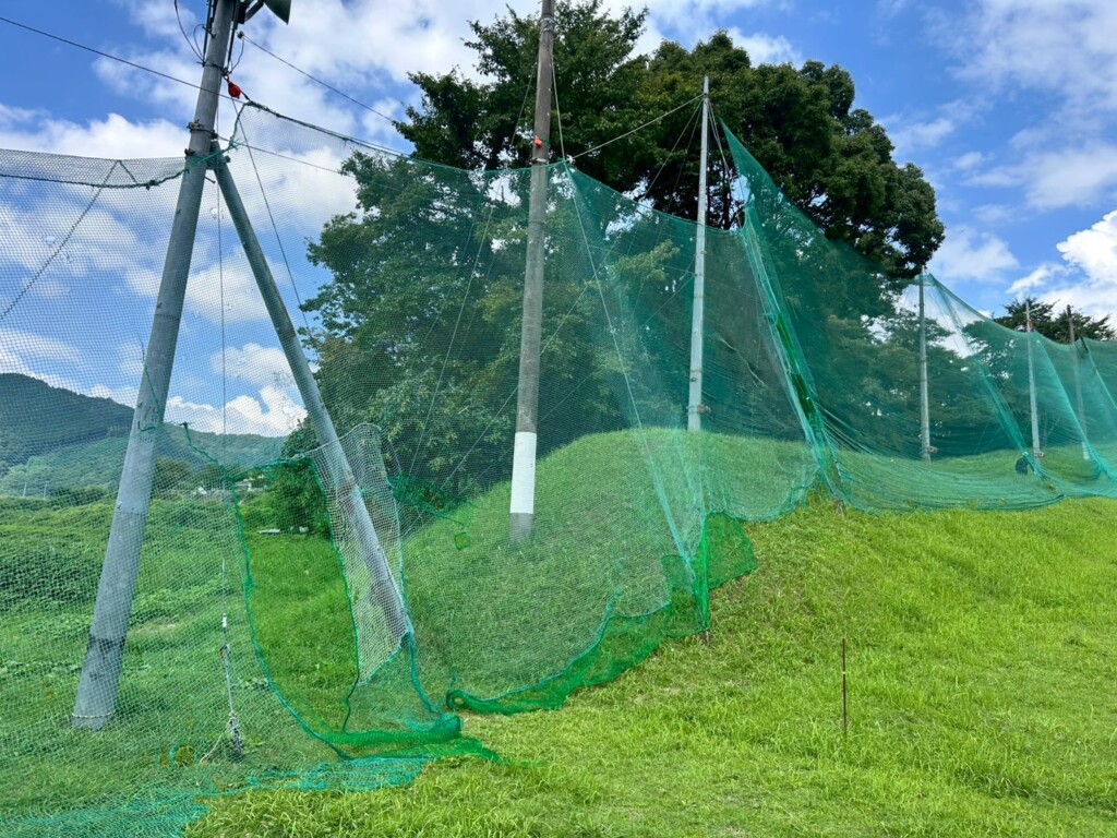 ネット補修工事