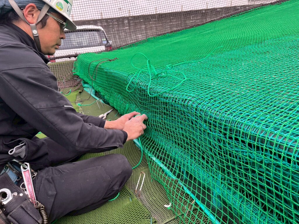 ネット張替工事
